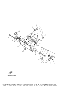 Radiator Hose