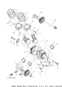 Crankshaft & Piston