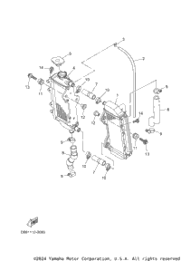 Radiator & Hose