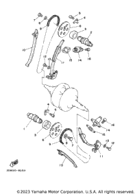 Camshaft Chain