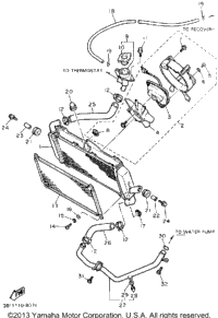 Radiator Hose