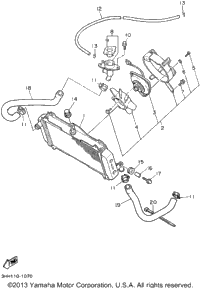 Radiator Hose