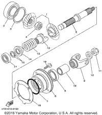 Middle Drive Gear