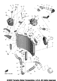 Radiator & Hose