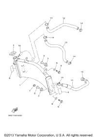 Radiator Hose