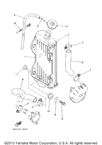 Radiator Hose
