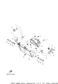 Radiator & Hose
