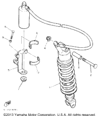 Rear Shocks