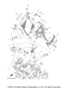 Radiator Hose