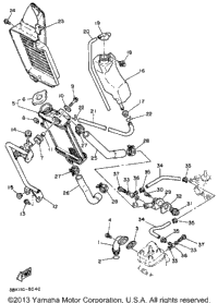 Radiator - Hose