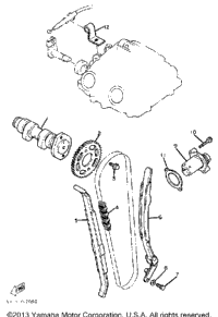 Camshaft Chain