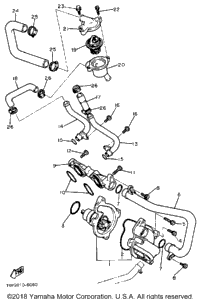 Water Pump