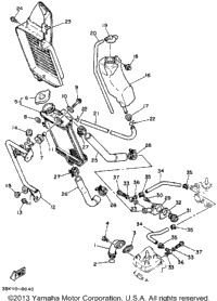 Radiator - Hose