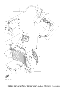 Radiator Hose
