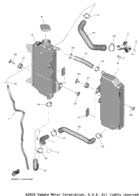 Radiator Hose