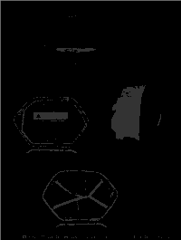 Saddlebags