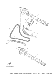 Camshaft Chain