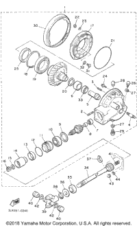 Drive Shaft