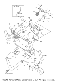 Radiator Hose