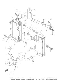 Radiator Hose