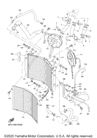 Radiator Hose