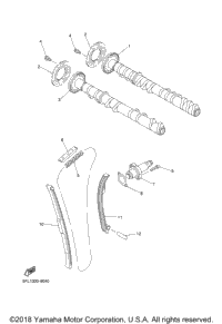Camshaft Chain