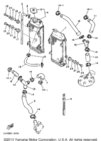 Radiator Hose