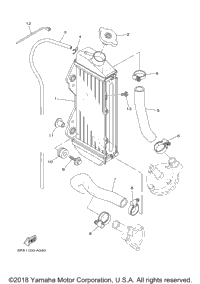 Radiator Hose