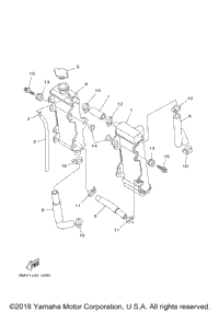 Radiator Hose