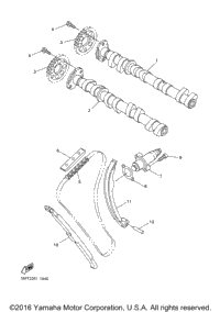 Camshaft Chain