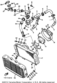 Radiator Hose