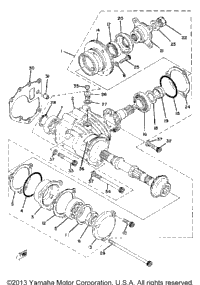 Middle Drive Gear