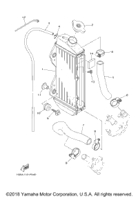 Radiator Hose