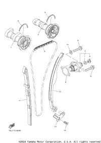 Camshaft Chain