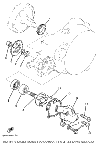 Water Pump