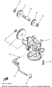 Oil Pump