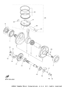 Crankshaft Piston