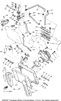 Radiator Hose