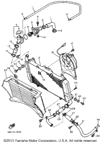 Radiator Hose