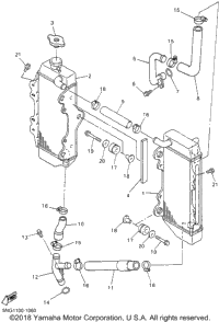 Radiator Hose