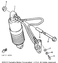 Rear Shocks