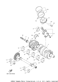 Crankshaft & Piston