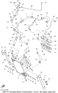 Radiator Hose