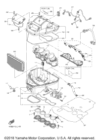 Intake