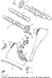 Camshaft Chain