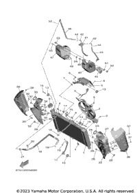 Radiator & Hose