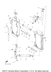 Radiator Hose