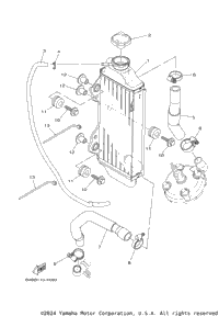 Radiator & Hose