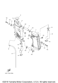 Radiator Hose