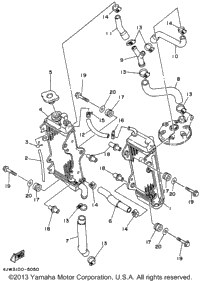 Radiator - Hose